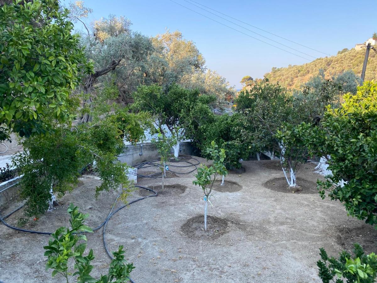 Ferienwohnung House With Beautiful Garden In Plomari Exterior foto