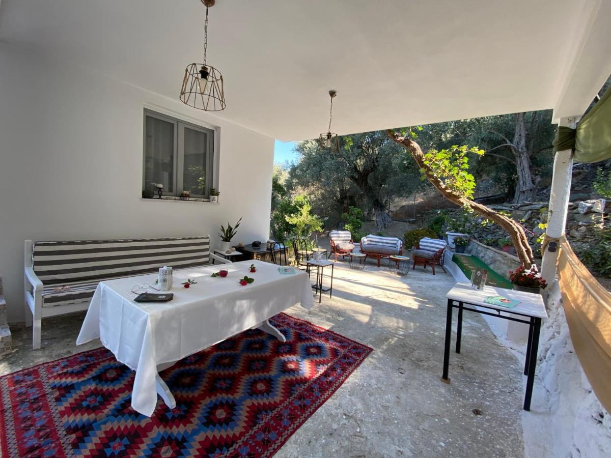 Ferienwohnung House With Beautiful Garden In Plomari Exterior foto