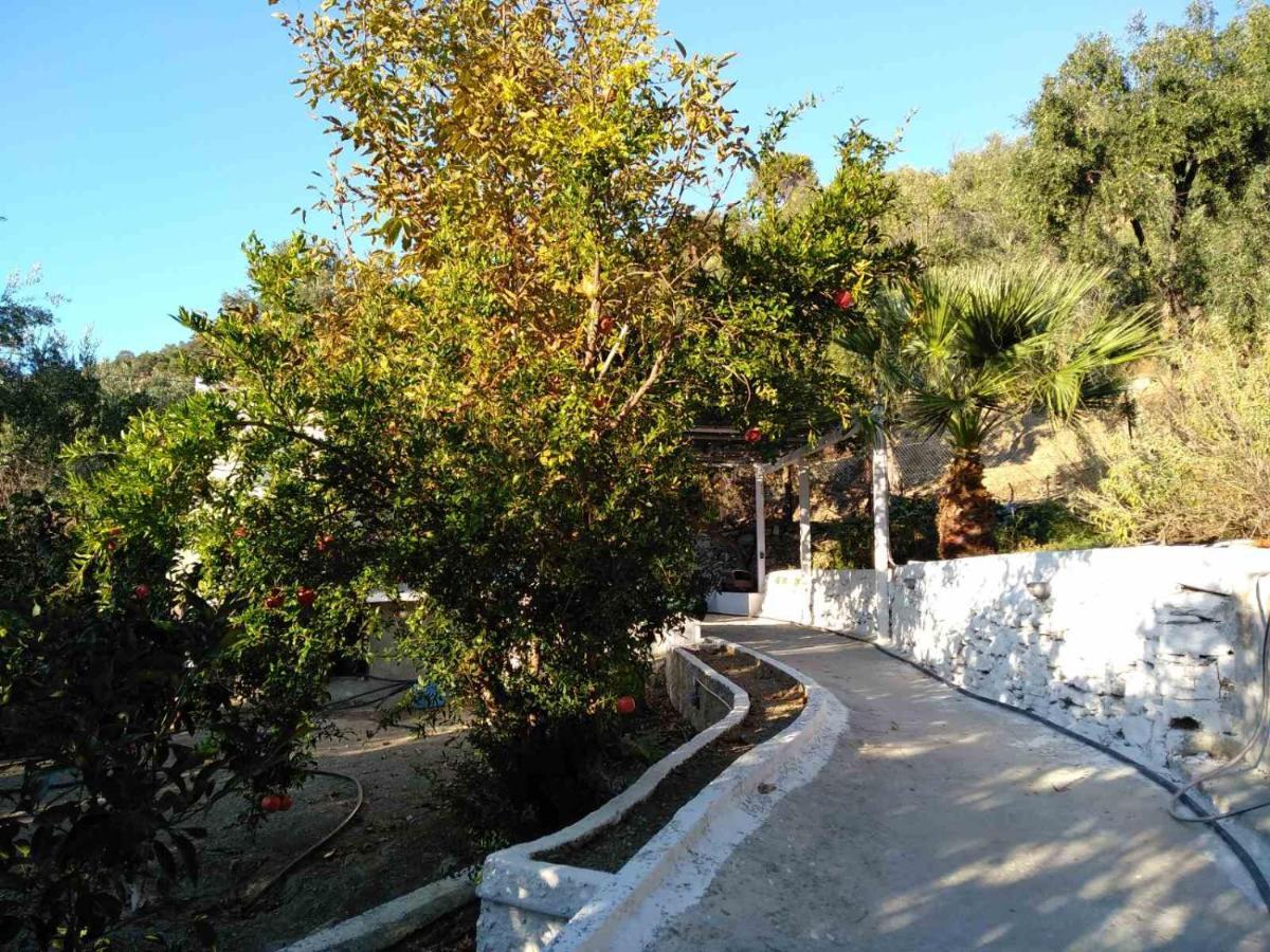 Ferienwohnung House With Beautiful Garden In Plomari Exterior foto